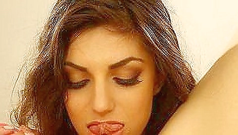 Ta keens of alexy shack plant honor