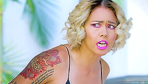 Danas New Experience Danas New Experience